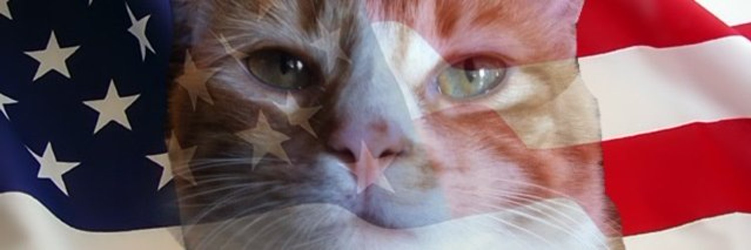 Close-up of the Purrsident's face with the Ameowrican flag fading across it in a double exposure